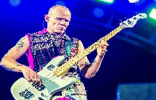 Flea